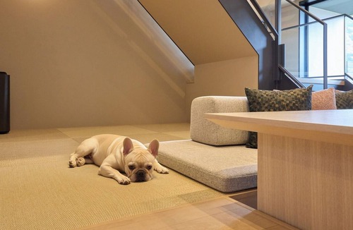 Toyooka Hotel | ERakuten STAY TERRACE Kinosaki Riverside2 Queen 3 FutonsPet Allowed/Toyooka City Hyōgo