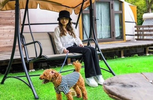 Yufu RV Rental | For 2 people | Room only | Pets allowed Enjoy a /Yufu City Ōita
