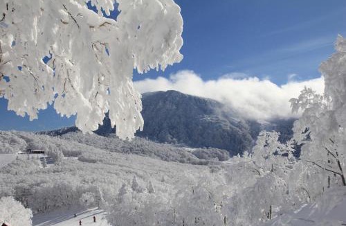 Yamagata Cabin | Forest Inn Sangoro
