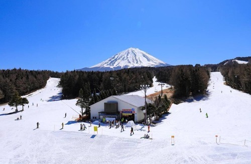 Fujikawaguchiko Resort | Forest Village