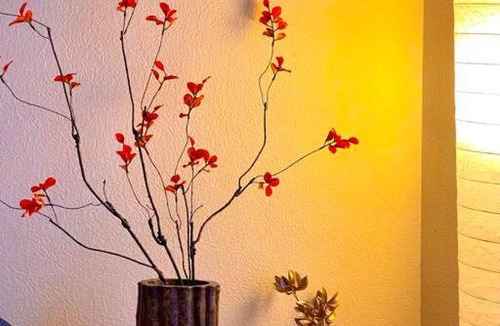 Nishinari Apartment | FUJI STAY 不二ノ宿