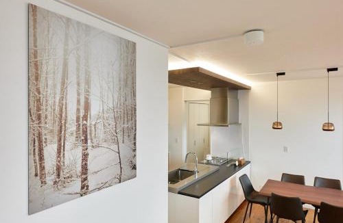 Furano Villa | furano frame