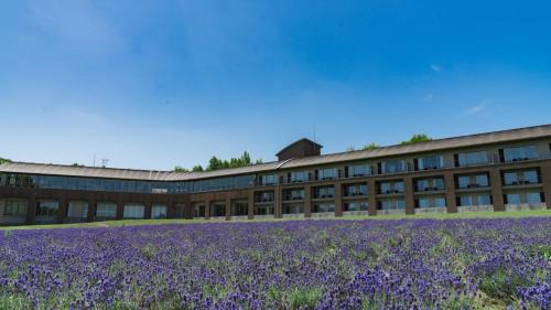 Furano Hotel | Furano Hotel 富良野ホテル