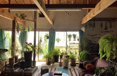 Hachijo House | Galaxy Guest House