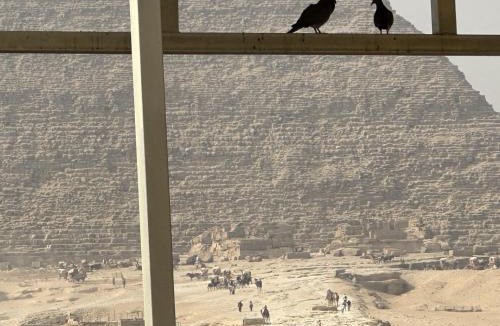 Giza Hostel | Giza Pyramids Inn