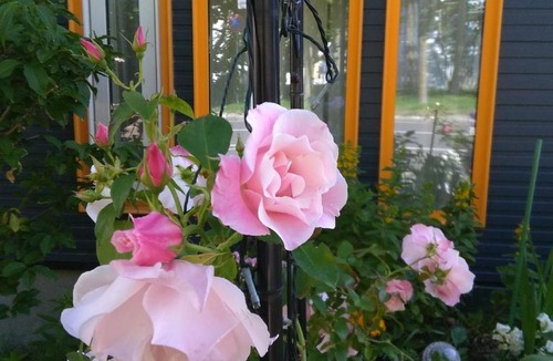 Hakodate Apartment | Guest House Annabel
