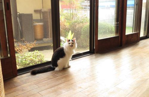 Tsumuura House | Guest house Roji to Akari