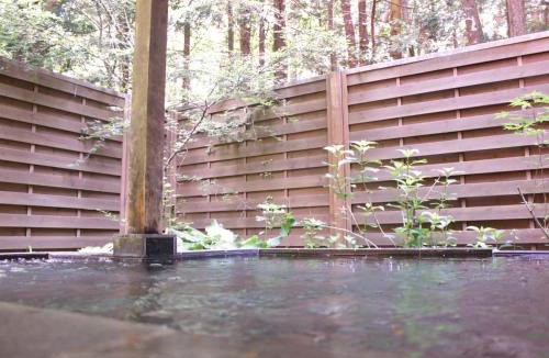 Fujikawaguchiko Hotel | Gusthof Lumiere - Vacation STAY 41339v