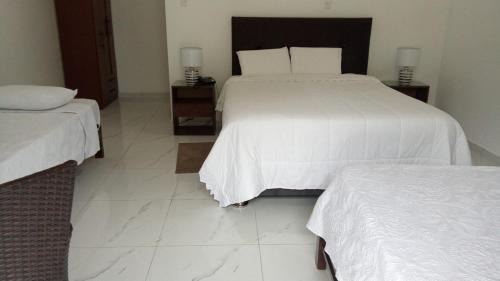 Oxapampa Hotel | Hahn des Felsens
