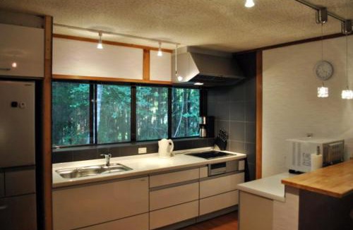 Iida Ski Chalet | Hakuba Forest House by JAMSZ ROYALE