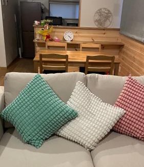 Hakuba Apartment | Hakuba Icicle House