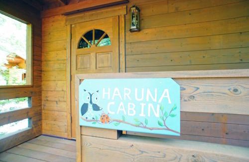Tsumagoi House | HARUNA CABIN - Vacation STAY 62249v