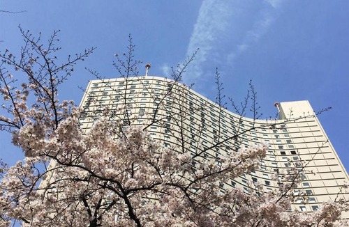 Nishi-Shinjuku Hotel | Hilton Tokyo Hotel