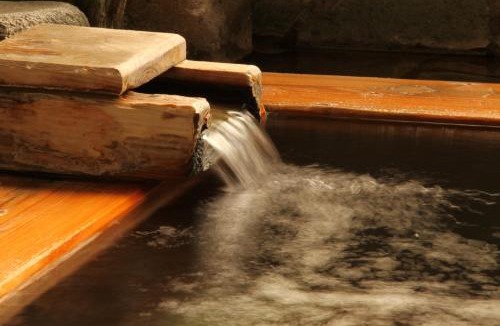 Yudanaka Shibu Onsen Hotel | Hoshikawakan