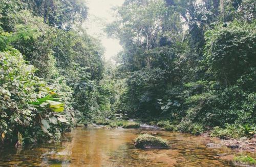 Manu Hotel | hot springs jungle