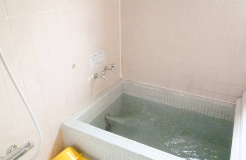 Tateyama Hotel | Hotel ∙ 1 bedroom ∙ 2 guests