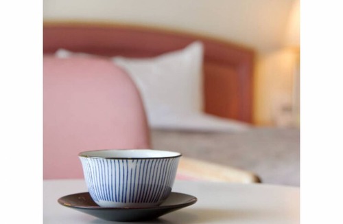 Imabari Hotel | Hotel Ayu Shionomaru