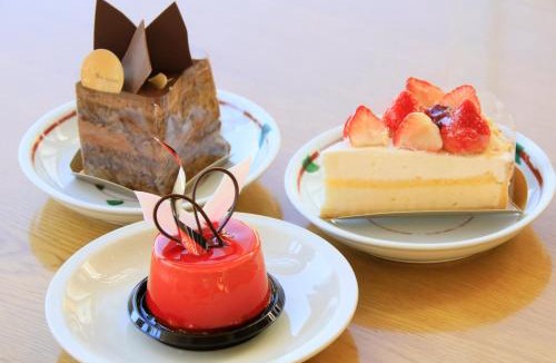 Enzan Onsen Hotel | Hotel Danrokan