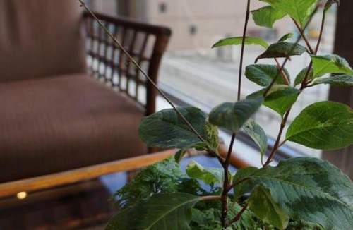 Sennichi-cho Hotel | Hotel New Nishino - Vacation STAY 64804
