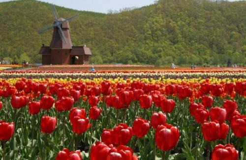 Monbetsu Hotel | Hotel Okhotsk Palace - Vacation STAY 24137v