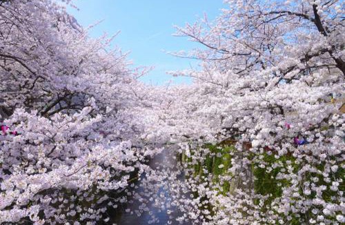 Shinbashi Hotel | Hotel Owl Tokyo Shinbashi