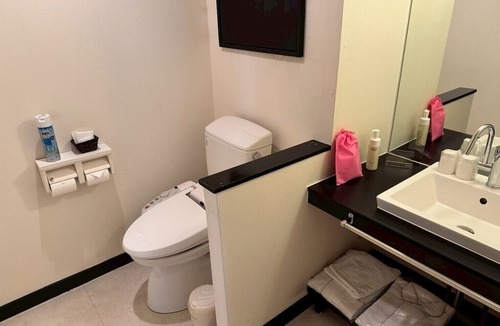 Kurashiki Hotel | HOTEL PALETTE BRONZE