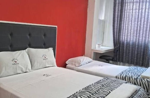 Iquitos Hotel | HOTEL SELVA