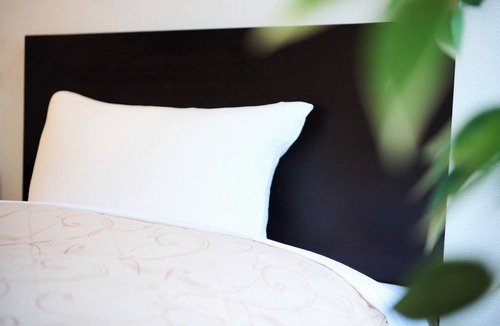 Chuo-ku Hotel | Hotel ShoD Smoking 2 single beds 1 sofa bed/Sapporo Hokkaidō