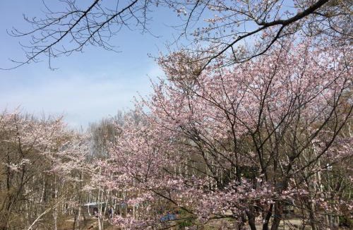 Yamanouchi Hotel | Hotel Tagawa