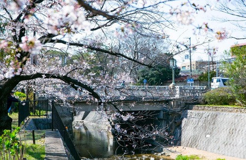 Nishinomiya Hotel | HOTEL U's Kouroen - Vacation STAY 11245v