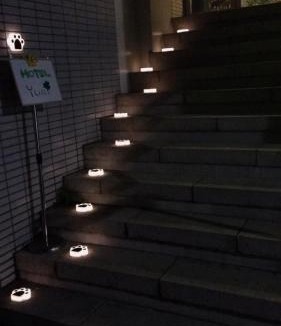Shinjuku Hotel | Hotel Yuni Star-Club