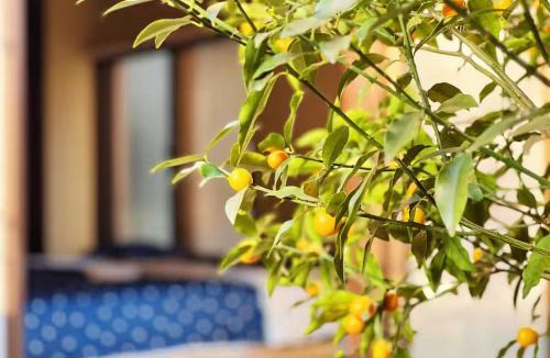 Nakano Villa | House near Shinjuku with parking & courtyard