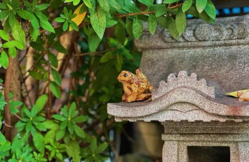 Nakano Villa | House near Shinjuku with parking & courtyard