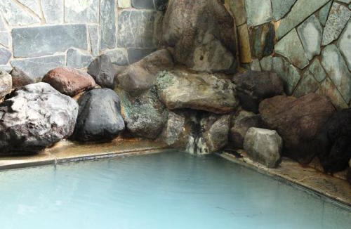 Nozawaonsen Hotel | Ikemoto