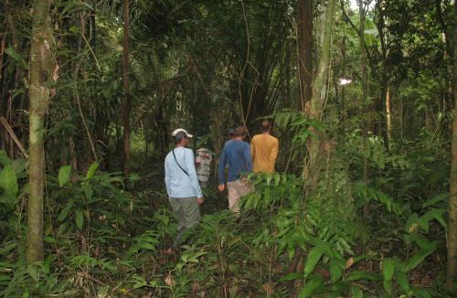Indiana Cabin | Iquitos EXPEDITION LODGE