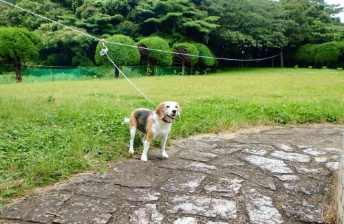 Isumi House | Isumi seishinso - Vacation STAY 84726v