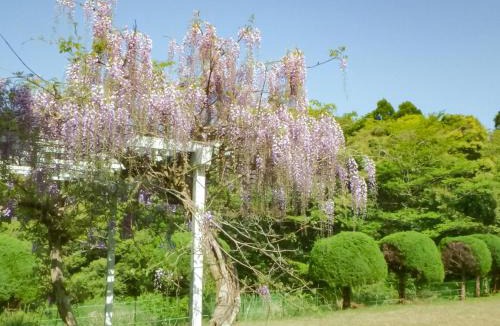 Isumi House | Isumi seishinso - Vacation STAY 84726v