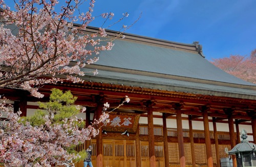 Yudanaka Shibu Onsen Bed & Breakfast | Japanese roomKoishiya Ryokan/Renovate