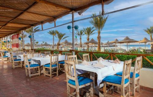 Makadi Bay Resort | JAZ Palmariva Beach