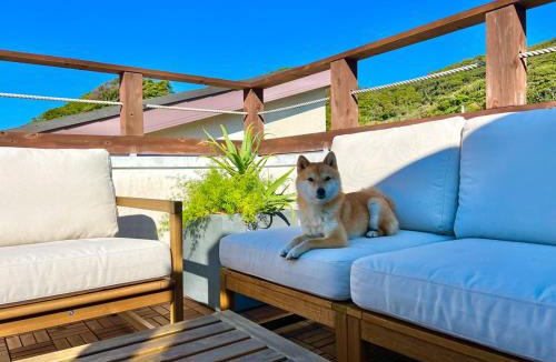 Hayama Apartment | Kamiya Cottage