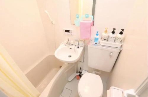 Kamiya Apartment | Kamiya TK Building 202