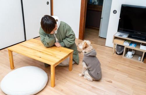 Shimoda Apartment | Kawamura Apartment 203