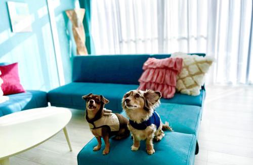 Taiji House | KOKOYUI GUESTHOUSE Taiji