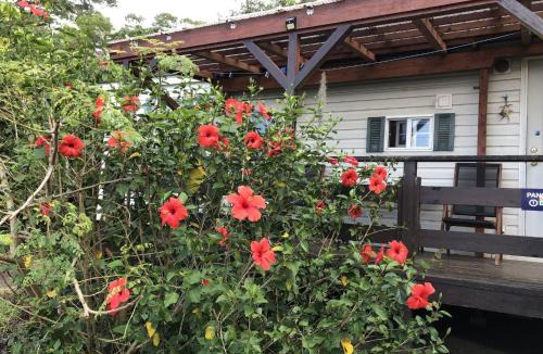 Sakimotobu House | Kunigami-gun - Cottage/Vacation STAY 22642