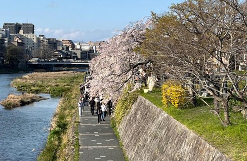 Shimogyo House | Kyoto Kamogawa Tamami Luxury Riverside Machiya