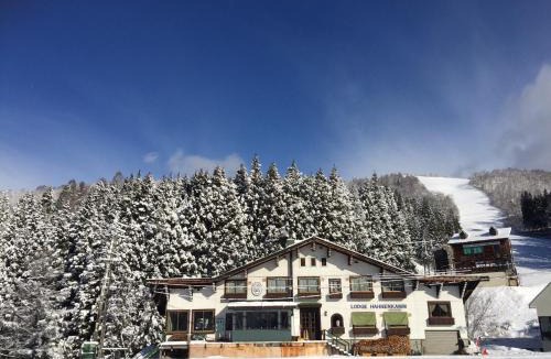 Nozawaonsen Cabin | Lodge Hahnenkamm