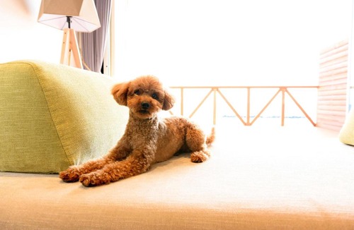 Shima Hotel | Love&Peace Resort