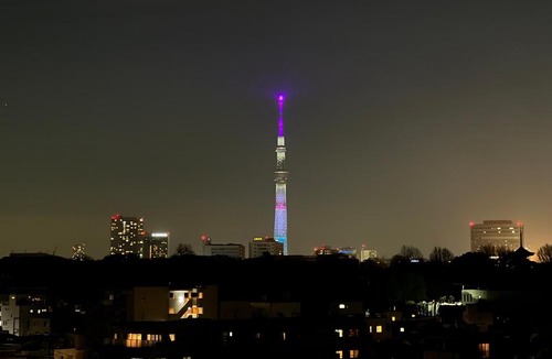 Nezu Apartment | LoveTokyo Maisonette Terrace