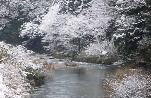 Sakai Hotel | Maruoka Onsen Takekurabe