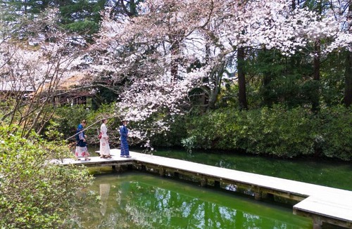 Nomi Hotel | Matsusaki